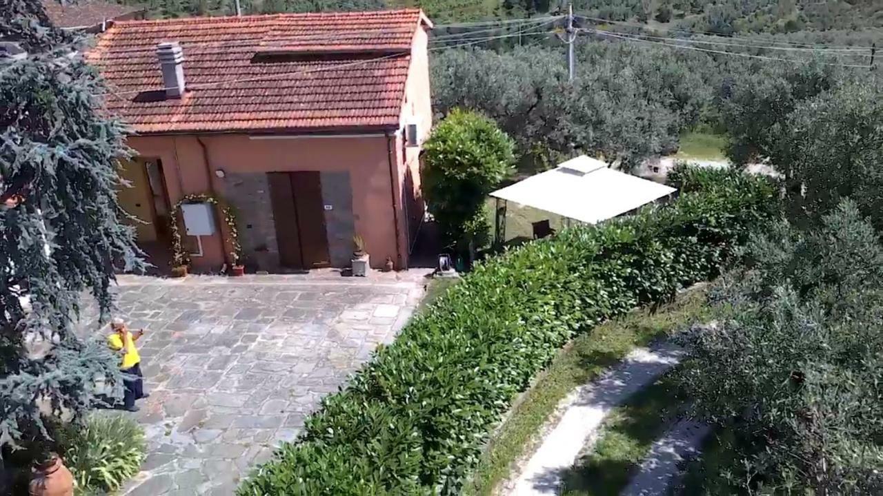 芬奇Il Borgo Dei Pini公寓 外观 照片